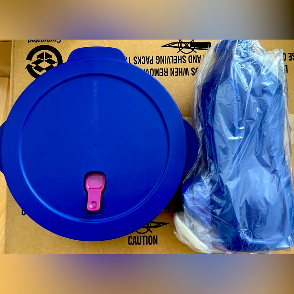 Pair of Tupperware Containers in Blue